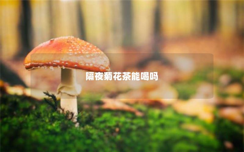 隔夜菊花茶能喝吗