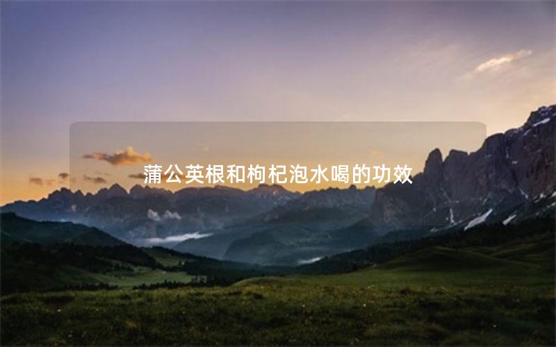 蒲公英根和枸杞泡水喝的功效