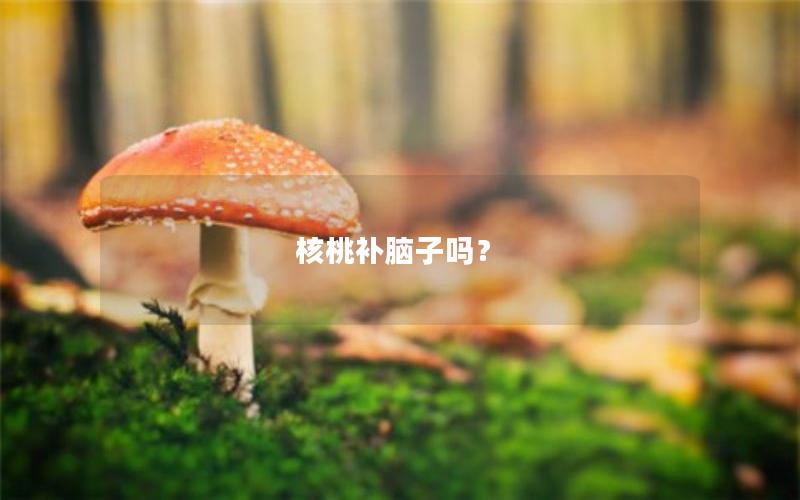 核桃补脑子吗？