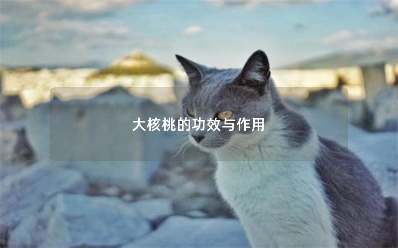 大核桃的功效与作用