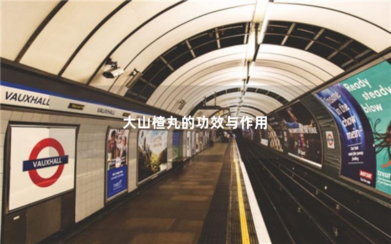 大山楂丸的功效与作用