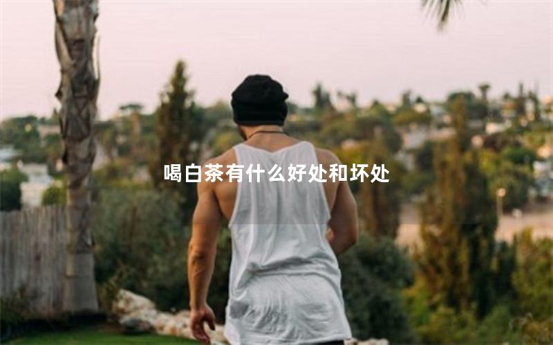 喝白茶有什么好处和坏处