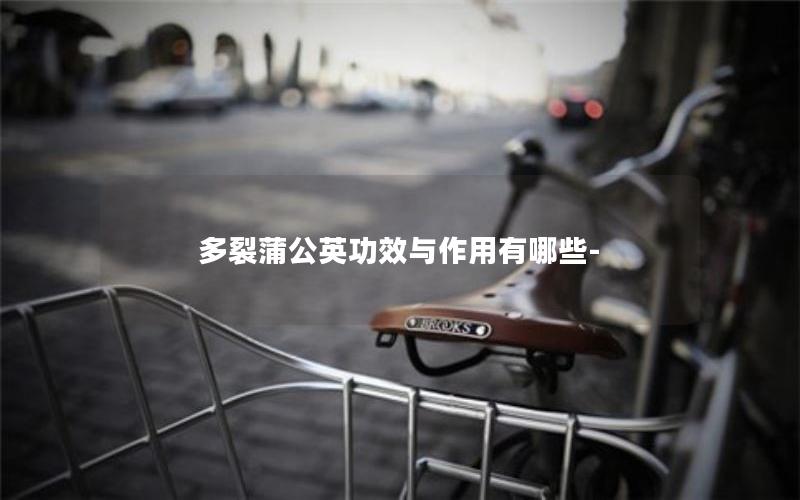 多裂蒲公英功效与作用有哪些-