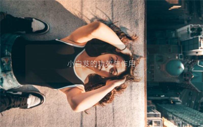 小白芨的功效与作用