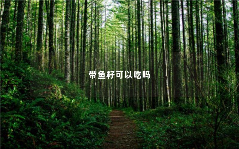 带鱼籽可以吃吗