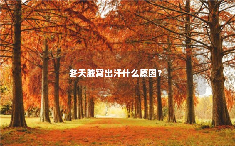 冬天腋窝出汗什么原因？