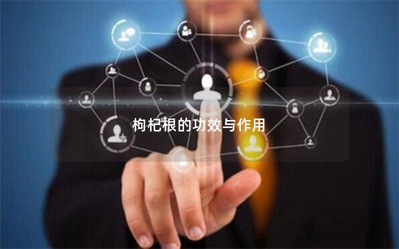枸杞根的功效与作用