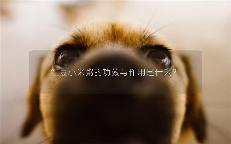红豆小米粥的功效与作用是什么？