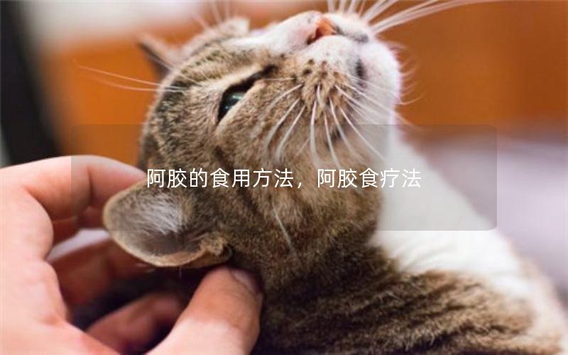 阿胶的食用方法，阿胶食疗法