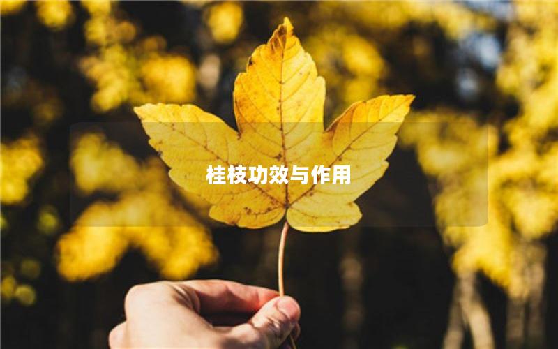 桂枝功效与作用