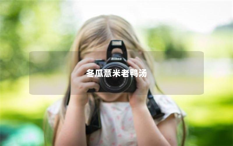 冬瓜薏米老鸭汤