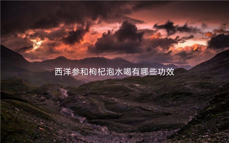 西洋参和枸杞泡水喝有哪些功效