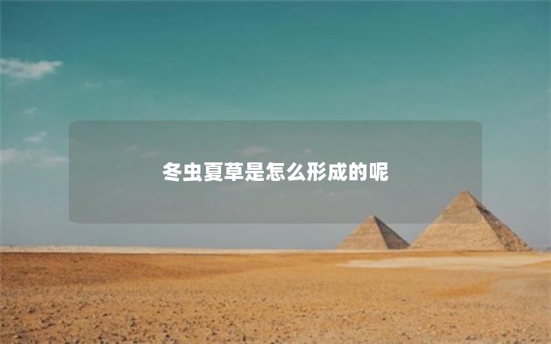 冬虫夏草是怎么形成的呢