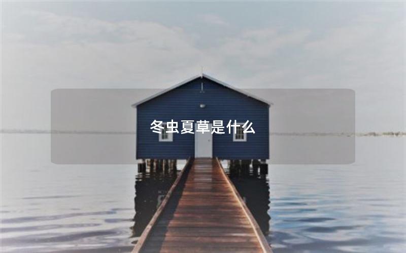 冬虫夏草是什么