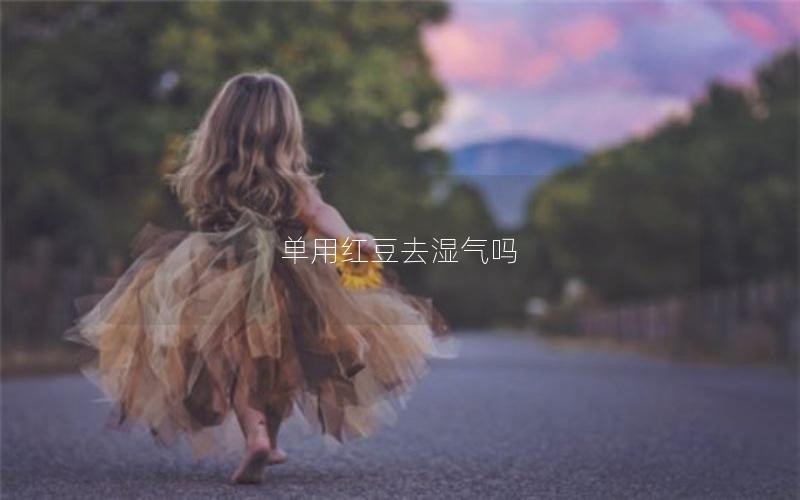 单用红豆去湿气吗