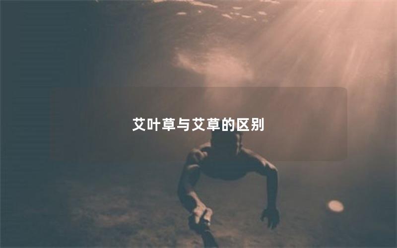 艾叶草与艾草的区别