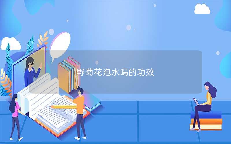 野菊花泡水喝的功效
