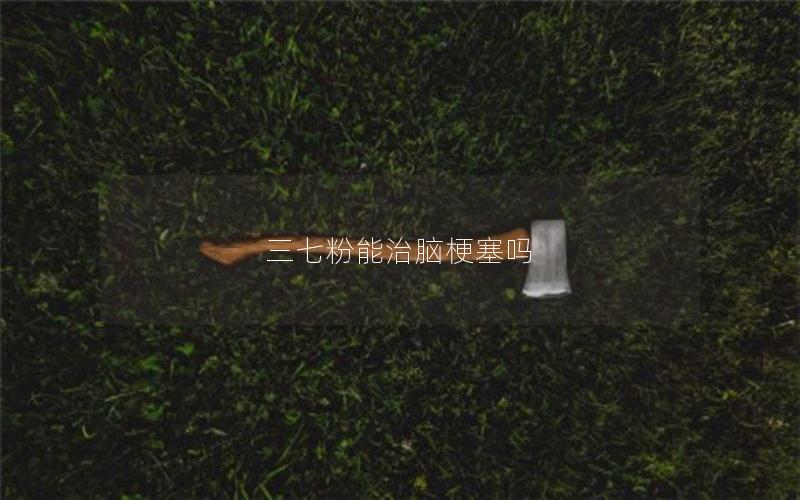 三七粉能治脑梗塞吗
