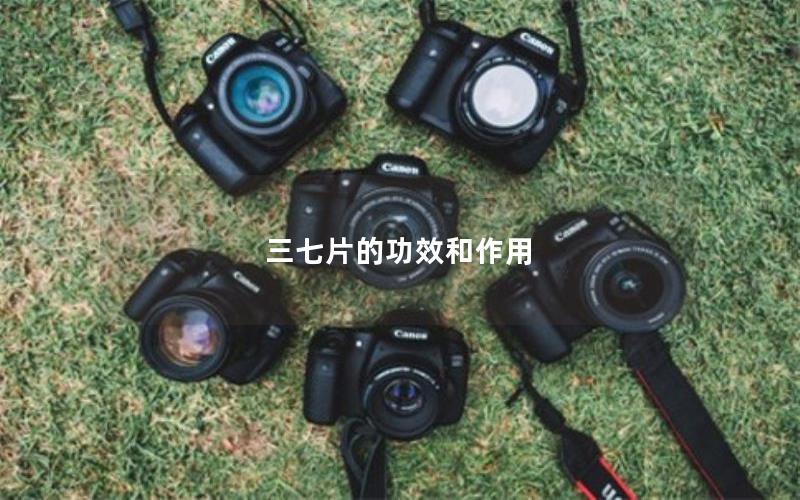 三七片的功效和作用