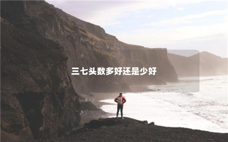 三七头数多好还是少好