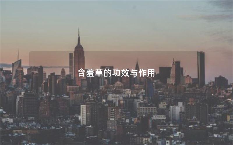 含羞草的功效与作用
