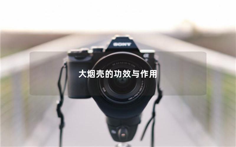 大烟壳的功效与作用