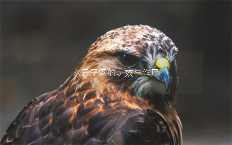 六君子汤的功效与作用