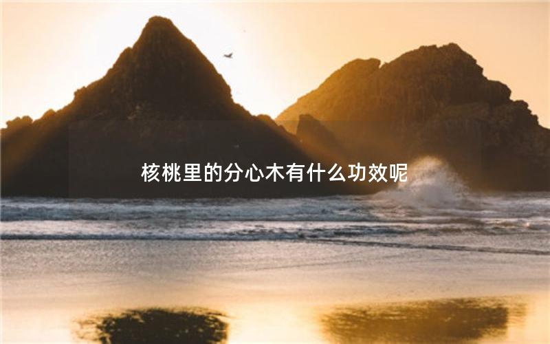 核桃里的分心木有什么功效呢