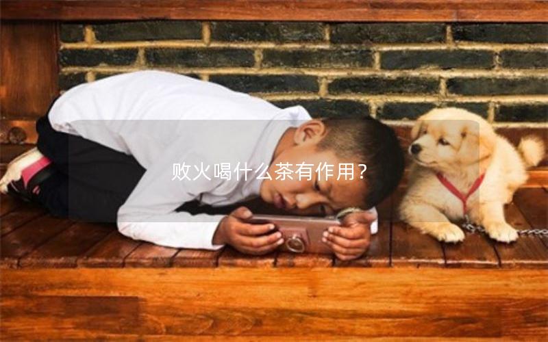 败火喝什么茶有作用？