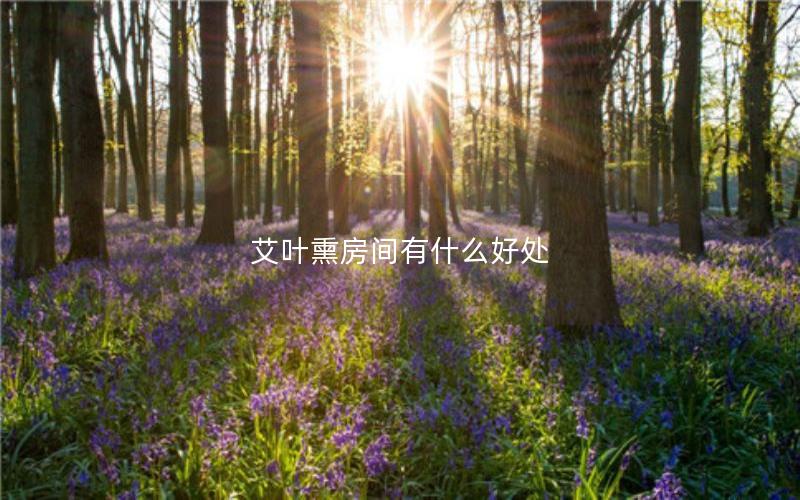 艾叶熏房间有什么好处