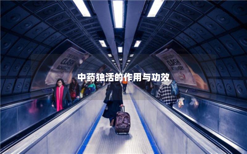 中药独活的作用与功效