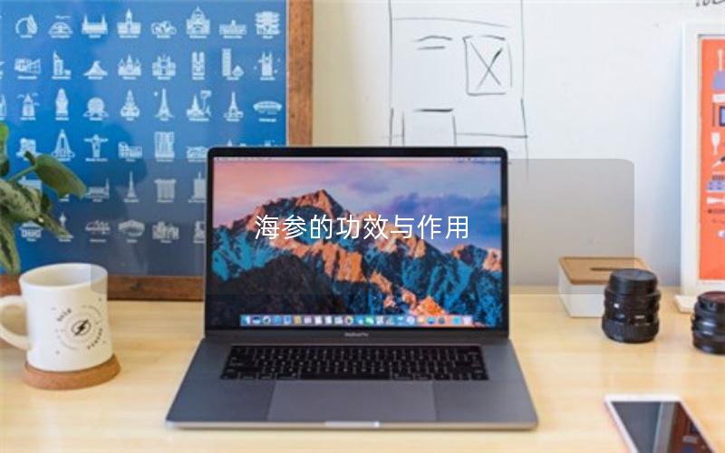 海参的功效与作用