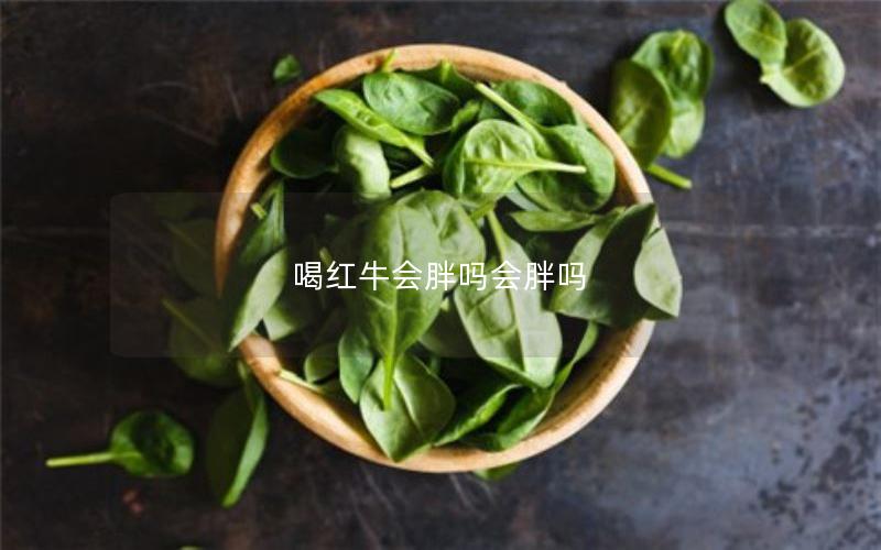 喝红牛会胖吗会胖吗