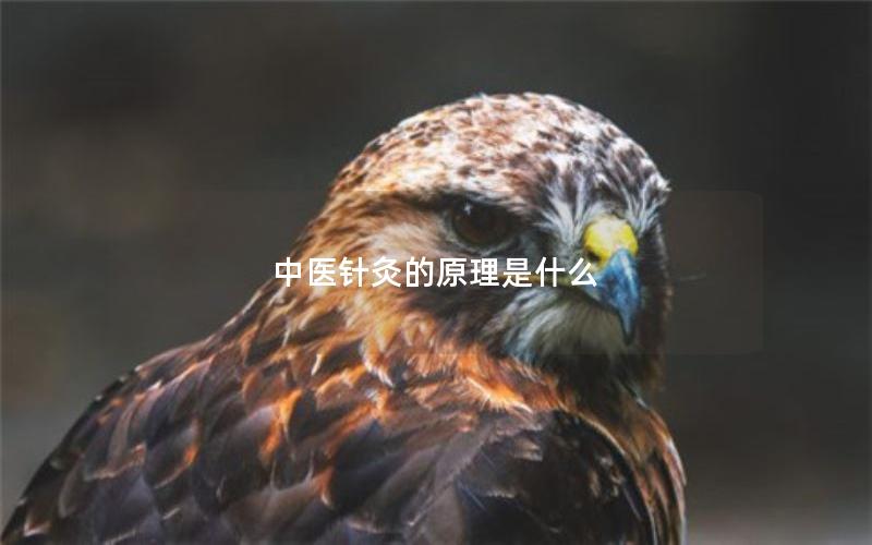 中医针灸的原理是什么