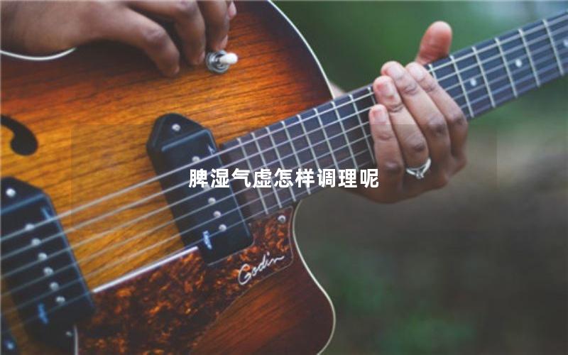 脾湿气虚怎样调理呢