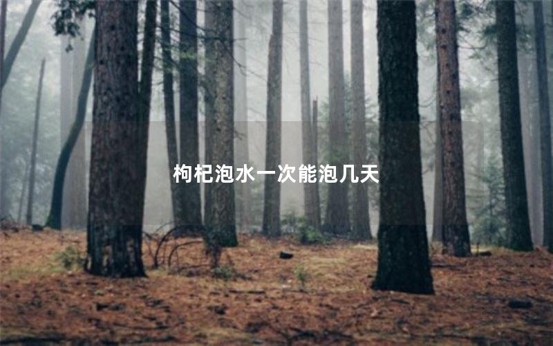 枸杞泡水一次能泡几天