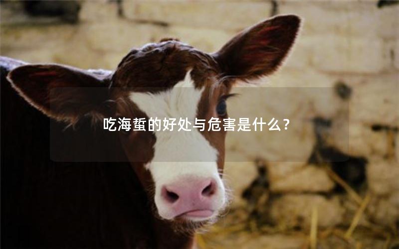 吃海蜇的好处与危害是什么？