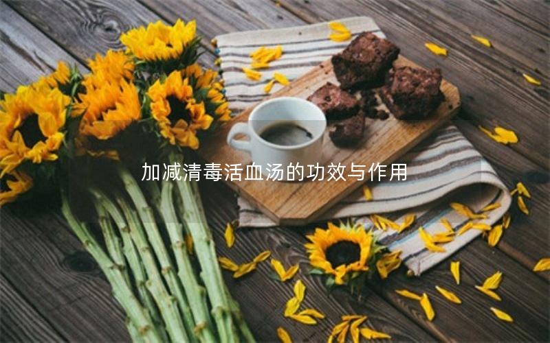 加减清毒活血汤的功效与作用