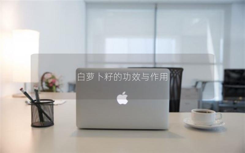 白萝卜籽的功效与作用