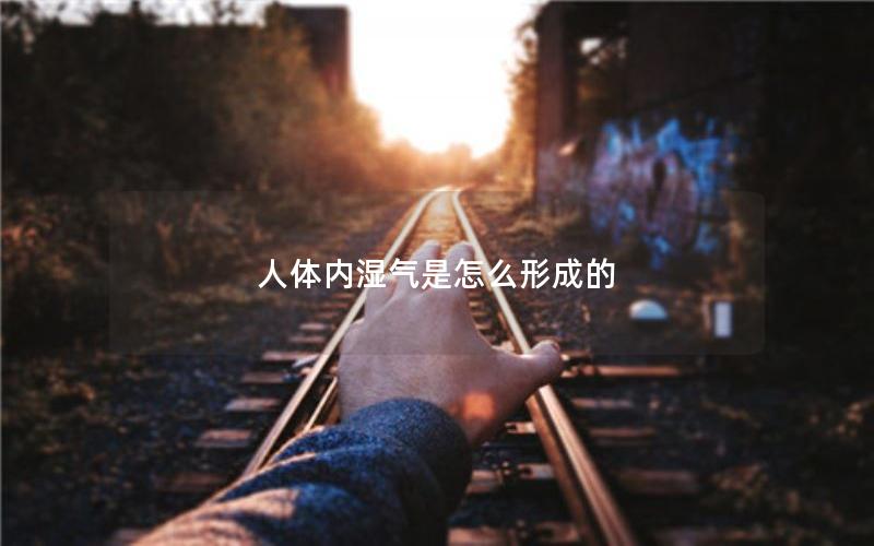 人体内湿气是怎么形成的