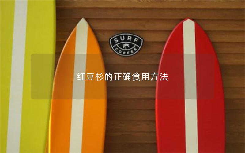 红豆杉的正确食用方法