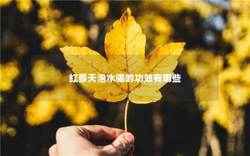 红景天泡水喝的功效有哪些