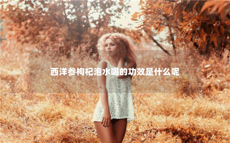 西洋参枸杞泡水喝的功效是什么呢