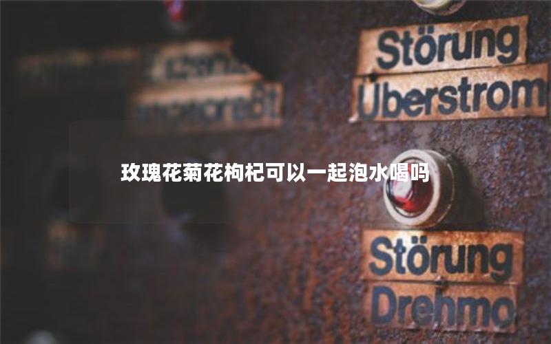 玫瑰花菊花枸杞可以一起泡水喝吗