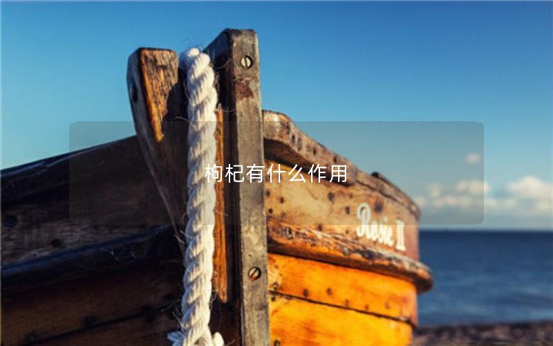 枸杞有什么作用