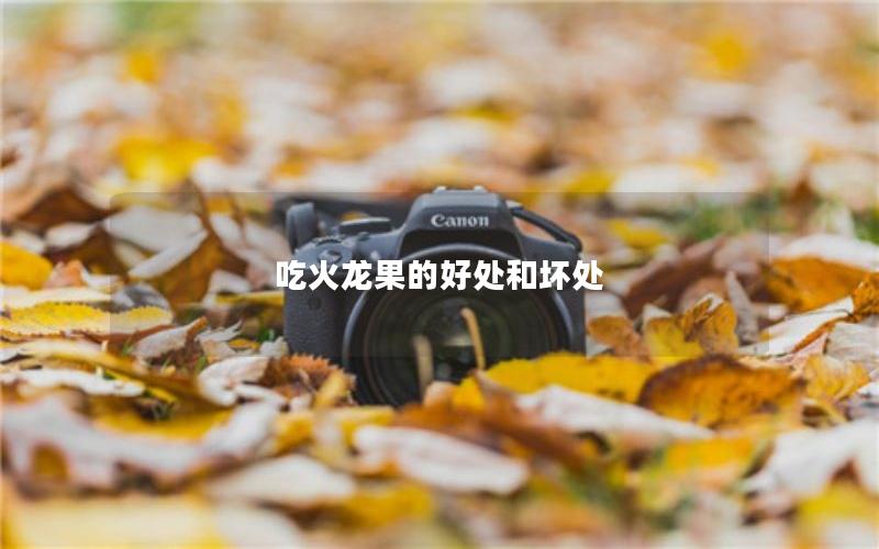 吃火龙果的好处和坏处