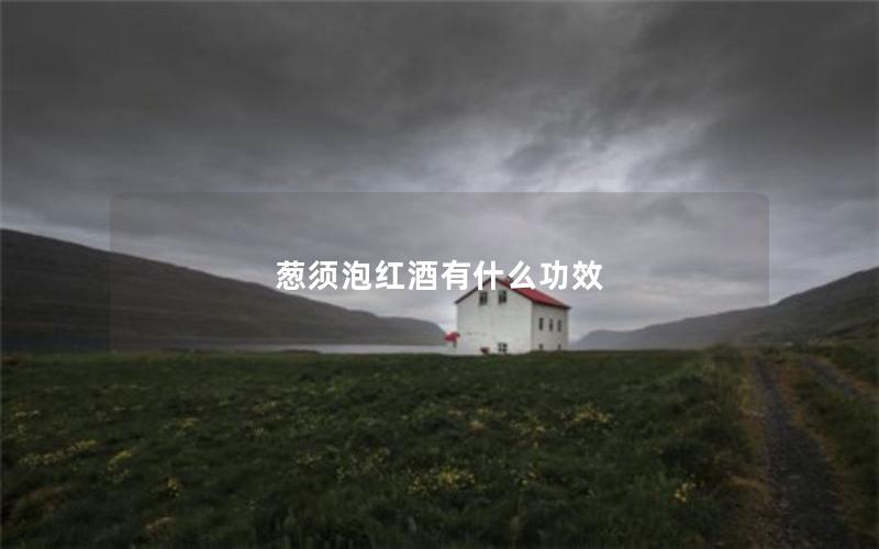 葱须泡红酒有什么功效