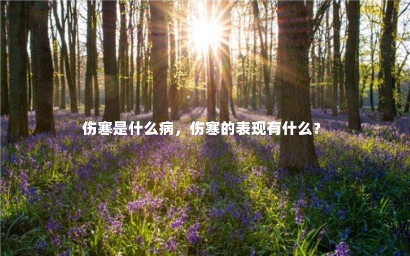 伤寒是什么病，伤寒的表现有什么？