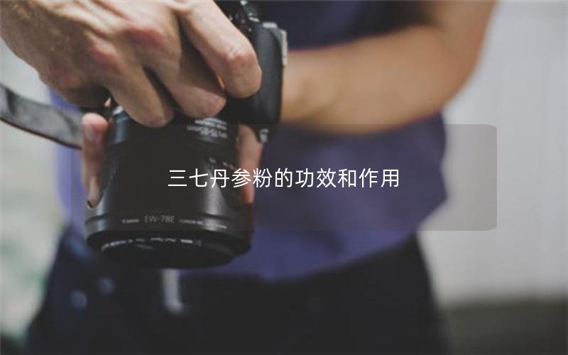 三七丹参粉的功效和作用