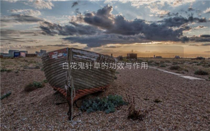 白花鬼针草的功效与作用